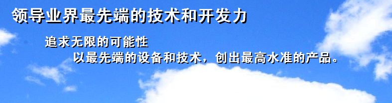 领导业界最先端的技术和开发力